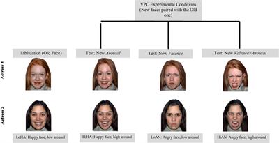 Differential effects of attachment security on visual fixation to facial expressions of emotion in 14-month-old infants: an eye-tracking study